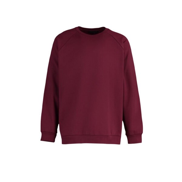 Sweatshirts - Image 2